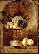 Frans Snyders Grapes Peaches and Quinces in a Niche France oil painting artist